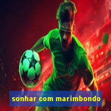 sonhar com marimbondo